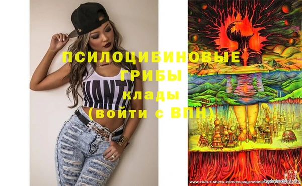 винт Алзамай