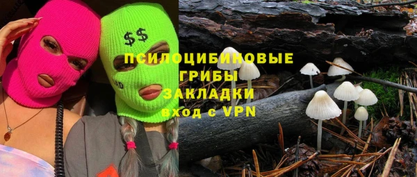 винт Алзамай