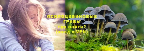 кокс Алексеевка