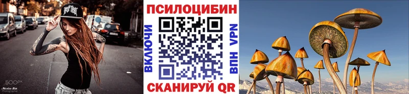 hydra как зайти  как найти закладки  Салават  Галлюциногенные грибы мицелий 