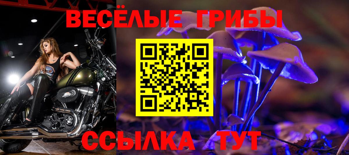 Галлюциногенные грибы прущие грибы  Вход с VPN  Галлюциногенные грибы ЛСД  Салават 